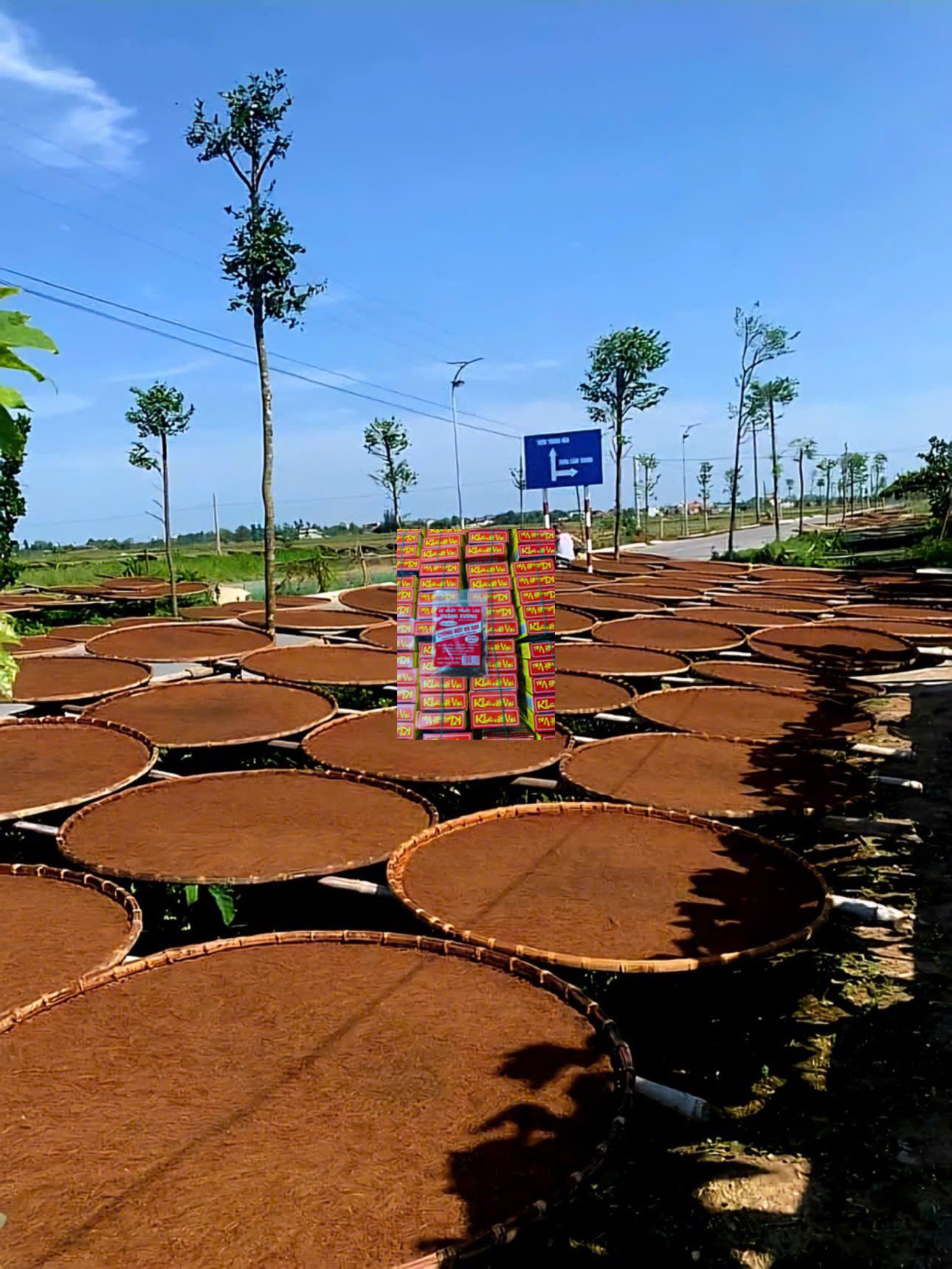 thuốc lào chồng hút vợ say